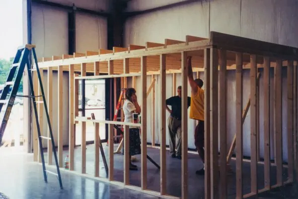 IFI in the beginning